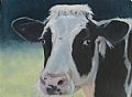Domestic Animals - Nature Art by Sally Berner